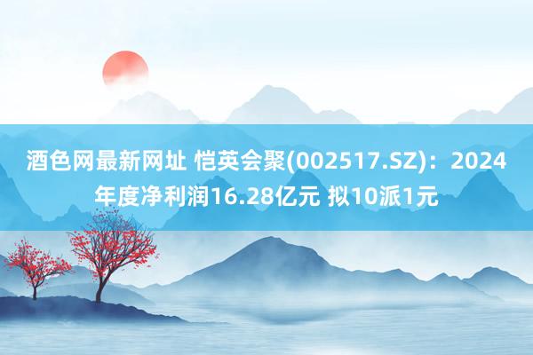 酒色网最新网址 恺英会聚(002517.SZ)：2024年度净利润16.28亿元 拟10派1元